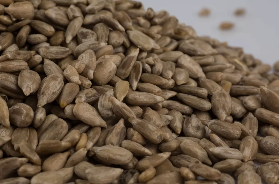 endüstriyel fotoğraf çekimleri, ürün fotoğraf çekimleri, ev tekstili fotoğraf çekimleri, moda fotoğraf çekiml,Görsel Reklam Stillife Fotoğraf Çekimi